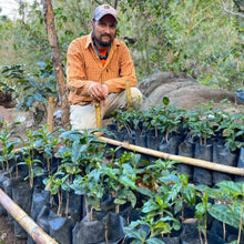 Load image into Gallery viewer, Mexican Chiapas Mayan Harvest