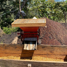 Load image into Gallery viewer, Mexican Chiapas Mayan Harvest