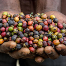 Load image into Gallery viewer, Ethiopian Natural Sidamo