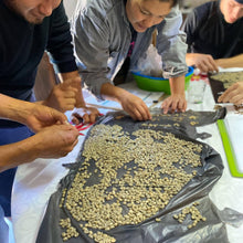 Load image into Gallery viewer, Mexican Chiapas Mayan Harvest