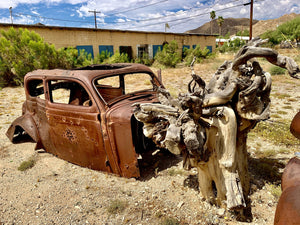 11x14 Photo Ajo classic car ruins