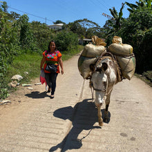 Load image into Gallery viewer, Mexican Chiapas Mayan Harvest
