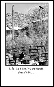 'LIFE JUST HAS ITS MOMENTS, DOESN'T IT . . .'