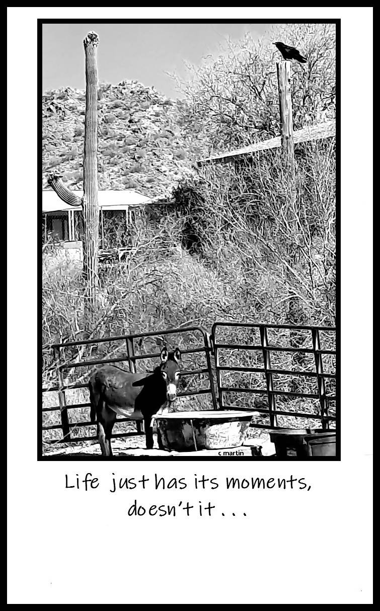 'LIFE JUST HAS ITS MOMENTS, DOESN'T IT . . .'