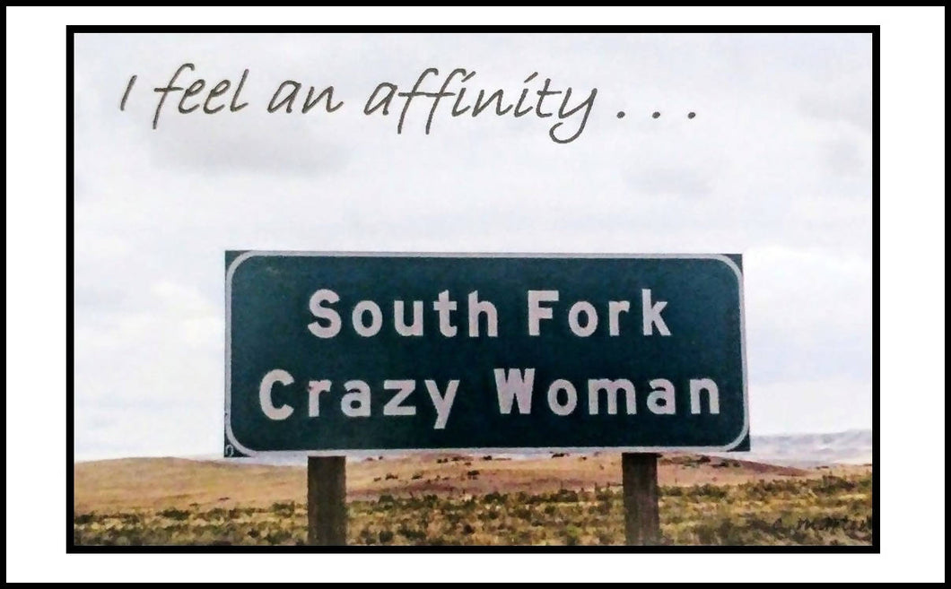 'I FEEL AN AFFINITY . . .'